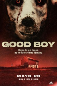 Good Boy (2022) Hollywood Hindi Dubbed